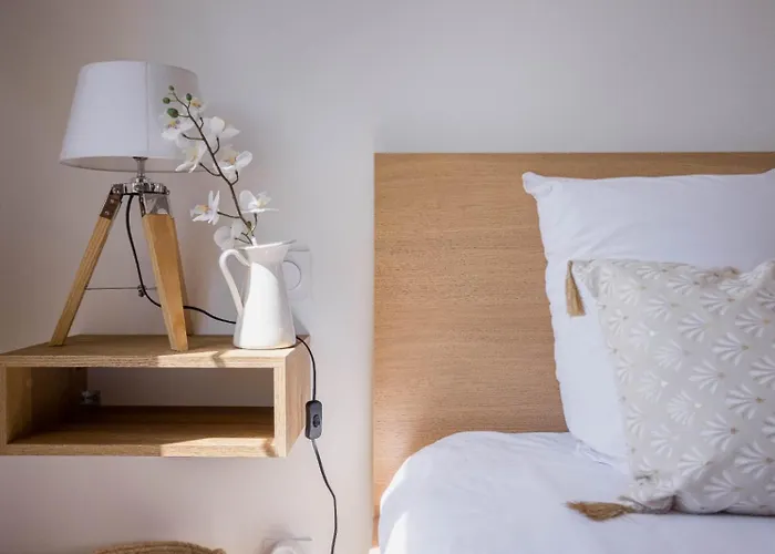 Jasmin - Calme Clim Palais & * Cannes